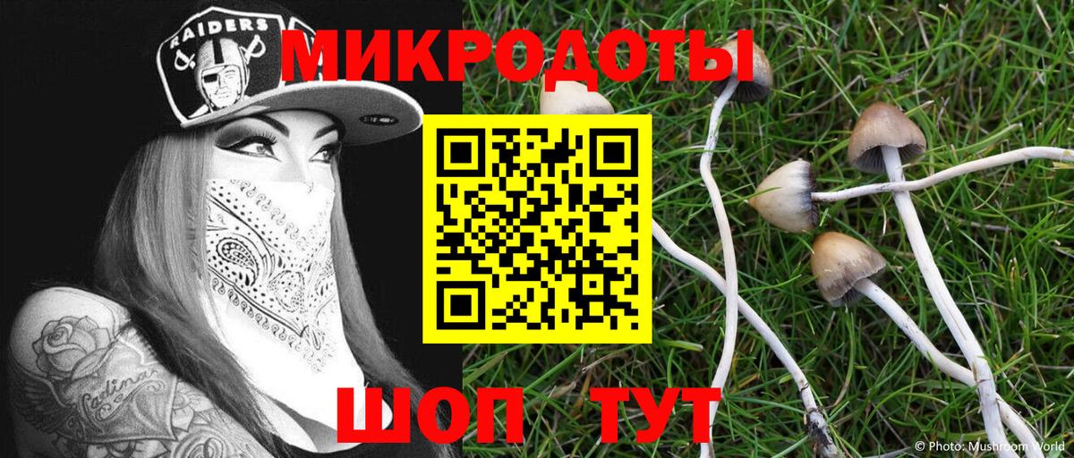 Курчатов  Псилоцибиновые грибы прущие грибы  Вход с VPN  Галлюциногенные грибы MAGIC MUSHROOMS 